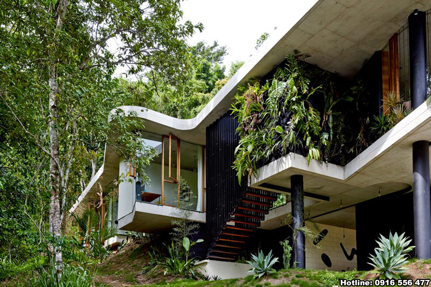 Biệt thự hiện đại nghỉ dưỡng tuyệt đẹp giữa rừng nhiệt đới